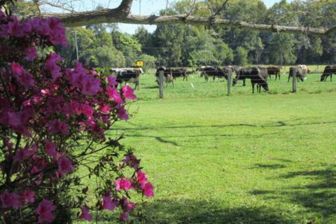 Greenfields - QLD Tourism 2