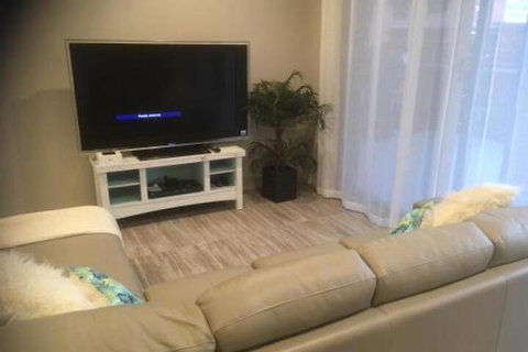 Seashells On Park Beach - QLD Tourism 6