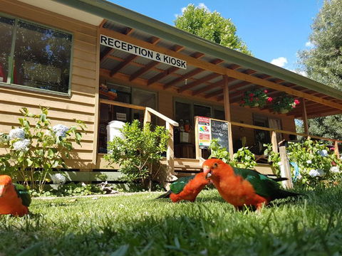 Jamieson Caravan Park - QLD Tourism 4