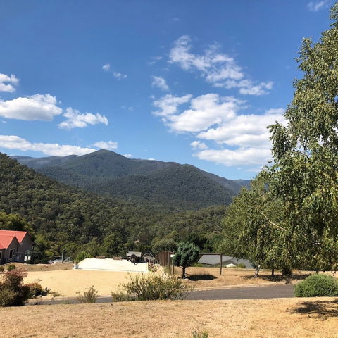 Alpine Stag Lodge House - QLD Tourism 5