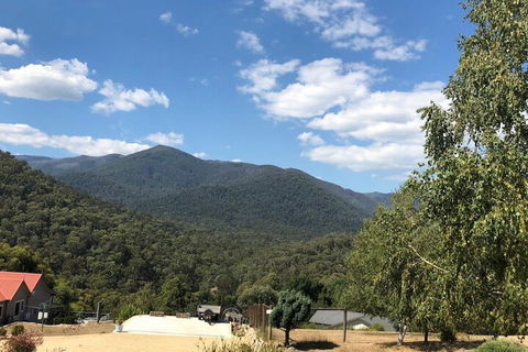 Alpine Stag Lodge Unit 2 - QLD Tourism 7