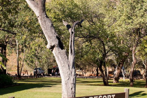 El Questro Emma Gorge Resort - QLD Tourism 4