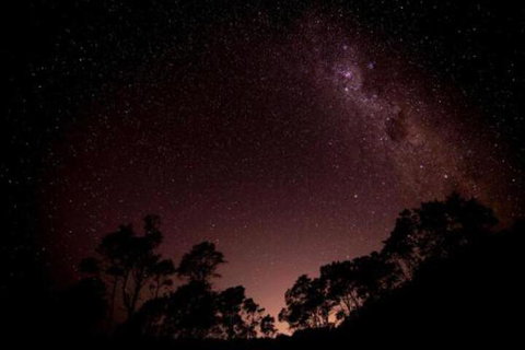 Fork N Farm Artisan Homestead - QLD Tourism 3