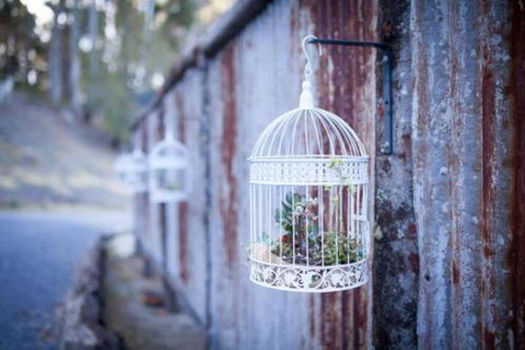 Fork N Farm Artisan Homestead - QLD Tourism 4