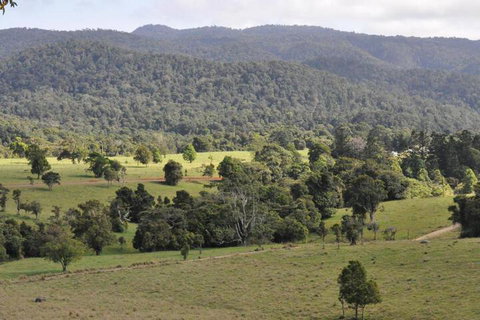 The Jungle Stays - QLD Tourism 5