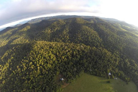 The Jungle Stays - QLD Tourism 6