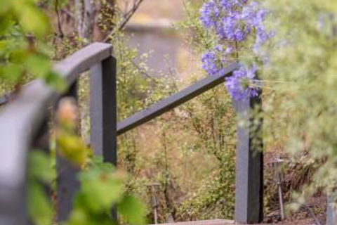 In The Valley - QLD Tourism 5