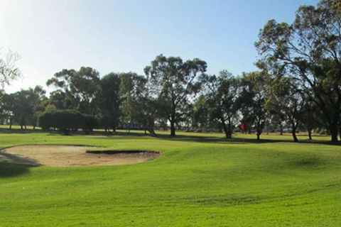 Barmera Country Club Motor Inn - Queensland Tourism 3