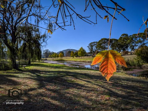Dillons Cottage - QLD Tourism 4