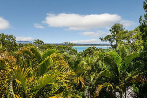 Hidden Rainforest Oasis Little Cove - QLD Tourism 5