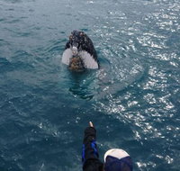 Number 72 Kalbarri Beach Resort - QLD Tourism