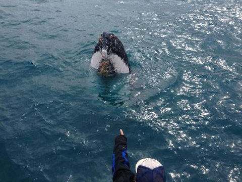 Number 72 Kalbarri Beach Resort - QLD Tourism 0