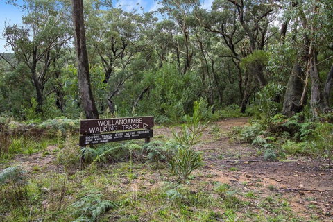 THE TEACHERS COTTAGE - QLD Tourism 5