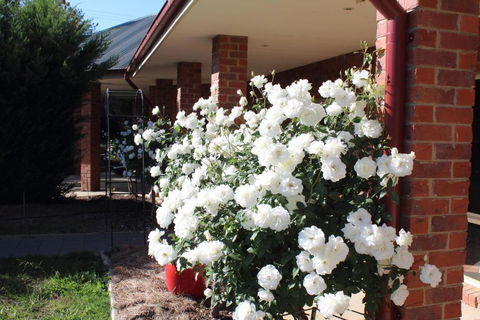Gundaroo Manor Bed & Breakfast - QLD Tourism 1