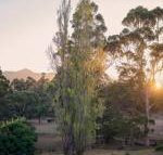 Karribank  the Karri on Bar - QLD Tourism