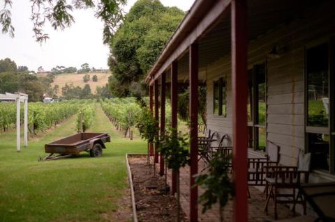 Fergusson Winery Homestead Accomodation - QLD Tourism 2