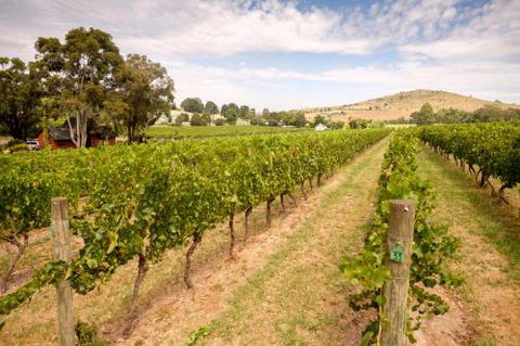 Fergusson Winery Homestead Accomodation - QLD Tourism 3