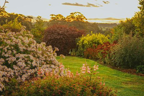 Hillcrest - QLD Tourism 1