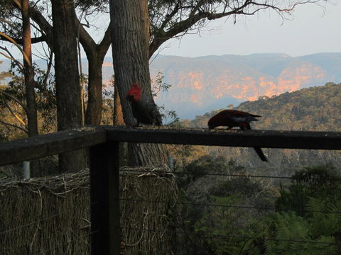 Canyon Cottage - QLD Tourism 6