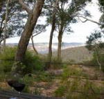 Canyon Cottage - Queensland Tourism
