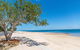 Spectacular Unit Overlooking Pumicestone Passage Welsby Pde Bongaree - thumb 0