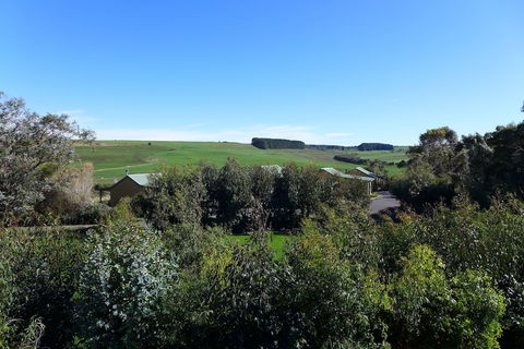 Daysy Hill Country Cottages - QLD Tourism 6