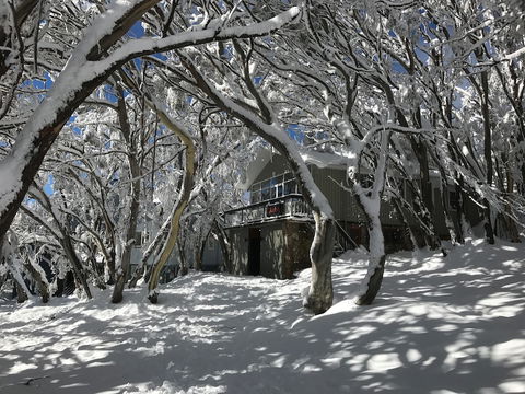 Amber Lodge Mt Buller - Hostel - Queensland Tourism 2