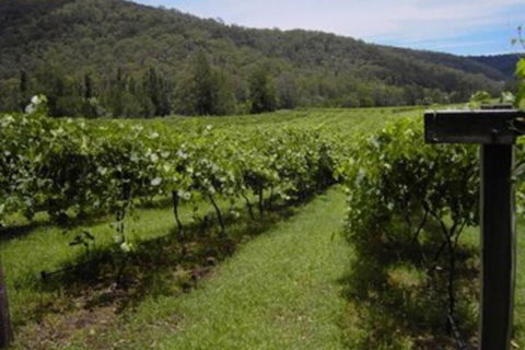 Cedar Creek Cottages - QLD Tourism 2