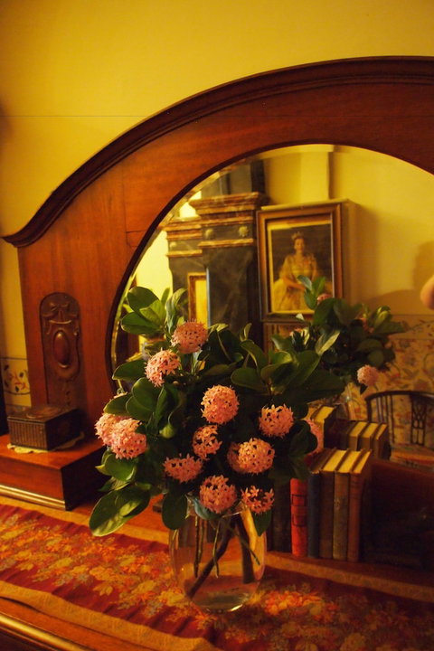 Vacy Hall Toowoomba's Grand Boutique Hotel - QLD Tourism 6