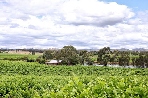 Stonewell Cottages & Vineyards - Queensland Tourism 6