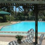 The Tree Motel - QLD Tourism 0