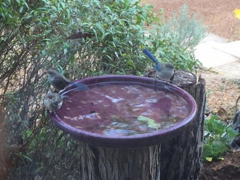 Dunsborough Ridge Retreat - QLD Tourism 6