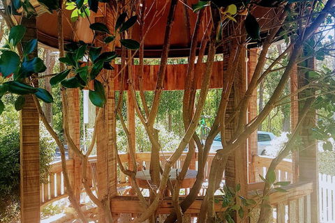 Adamsons Riverside Accommodation - QLD Tourism 1