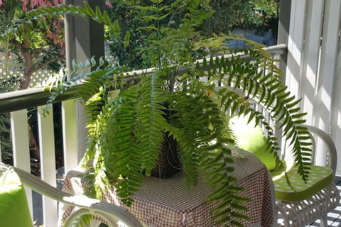 Elindale House Bed & Breakfast - QLD Tourism 4