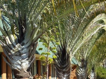 Somerville WA QLD Tourism