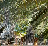 The Miners Rest Motel - QLD Tourism