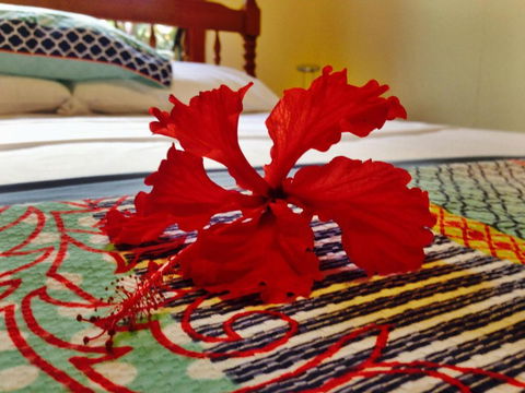 Cow Bay Homestay B & B - Queensland Tourism 5