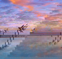 Global Backpackers Cairns - QLD Tourism