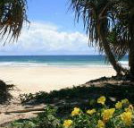 Ozone Shores - QLD Tourism