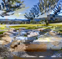 Terrewah Farm - Queensland Tourism