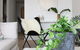 Modern Apartment In Brisbane - thumb 5