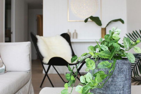 Modern Apartment In Brisbane - Queensland Tourism 5