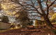Forest Ave Cottages - thumb 1