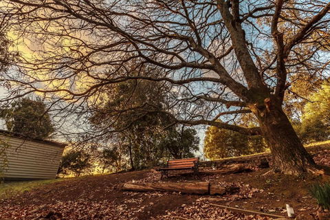Forest Ave Cottages - Queensland Tourism 1