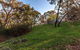 Forest Ave Cottages - thumb 3