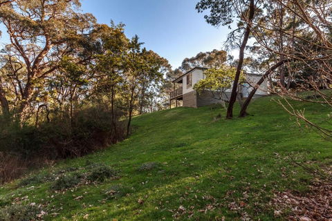 Forest Ave Cottages - Queensland Tourism 3
