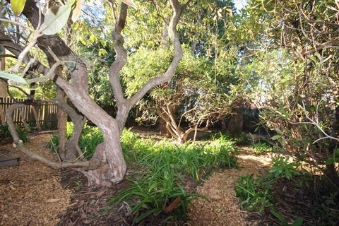Stonewall Cottage For Two With Fireplace - Queensland Tourism 2