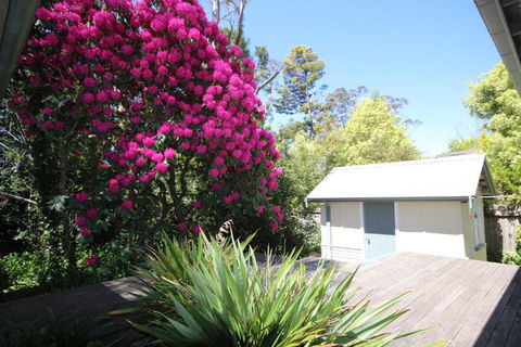 Stonewall Cottage For Two With Fireplace - Queensland Tourism 5