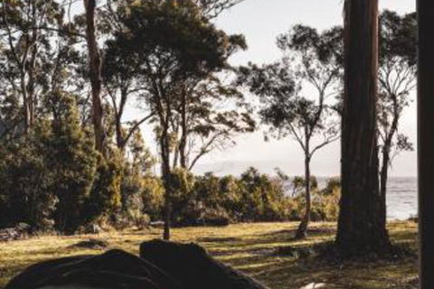 Seagrass On Sunset Bay - Queensland Tourism 2