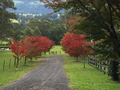 Maple Cottage - Queensland Tourism 4